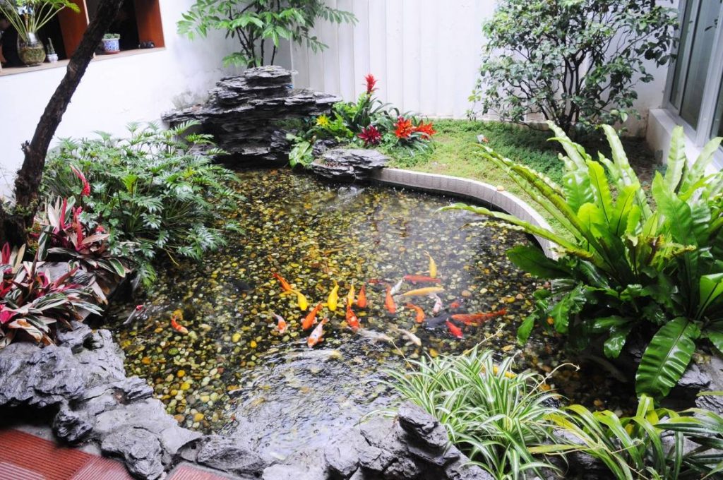 65 mẫu hồ cá sân vườn nhỏ đẹp, đơn giản tại nhà - Sân vườn Xanhou 14