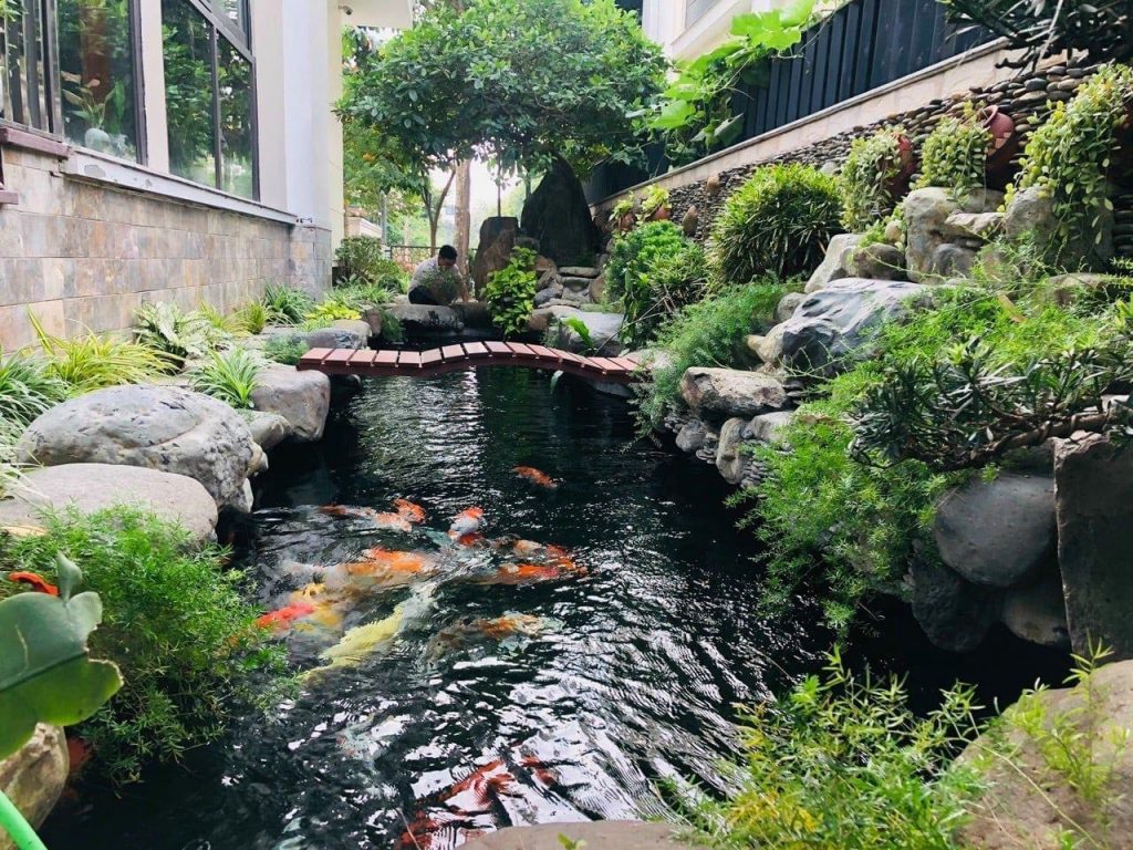 65 mẫu hồ cá sân vườn nhỏ đẹp, đơn giản tại nhà - Sân vườn Xanhou 10