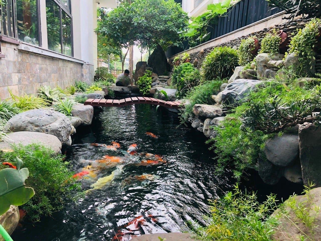 65 mẫu hồ cá sân vườn nhỏ đẹp, đơn giản tại nhà - Sân vườn Xanhou 9
