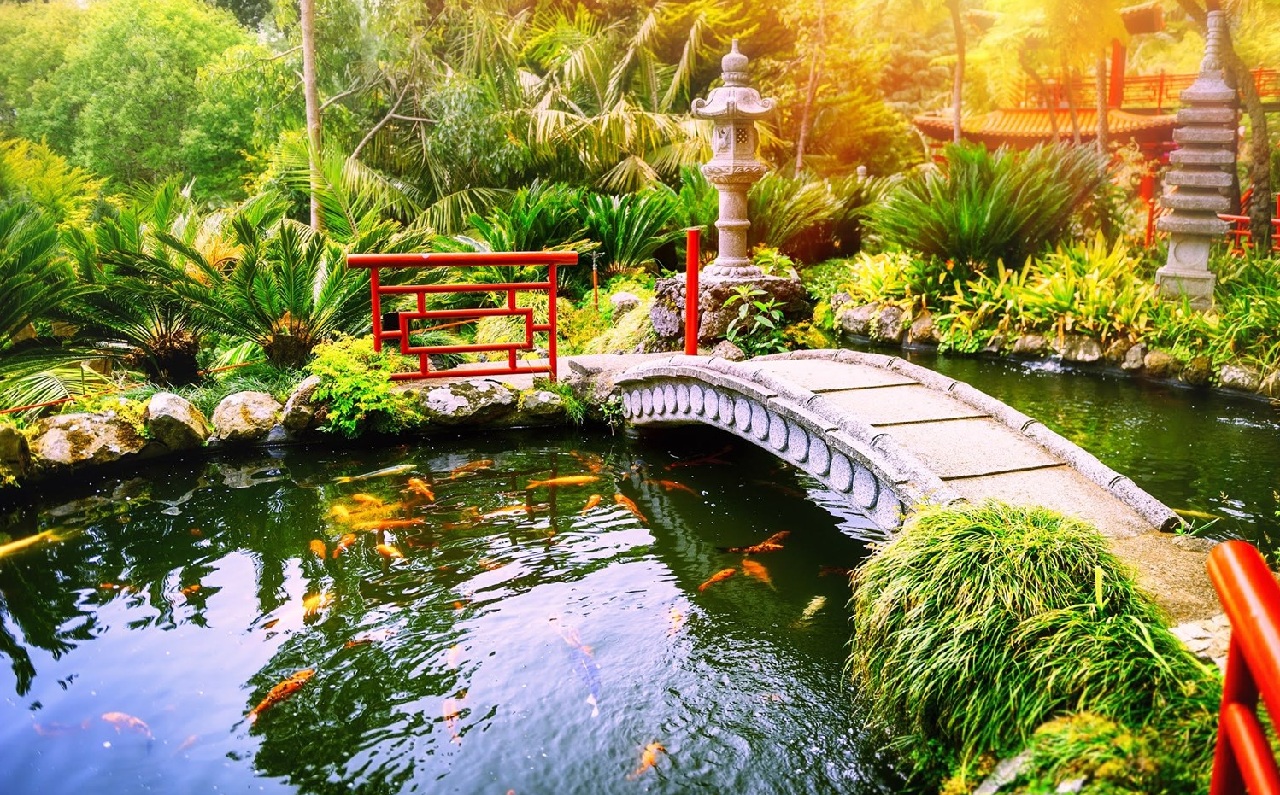 65 mẫu hồ cá sân vườn nhỏ đẹp, đơn giản tại nhà - Sân vườn Xanhou 16